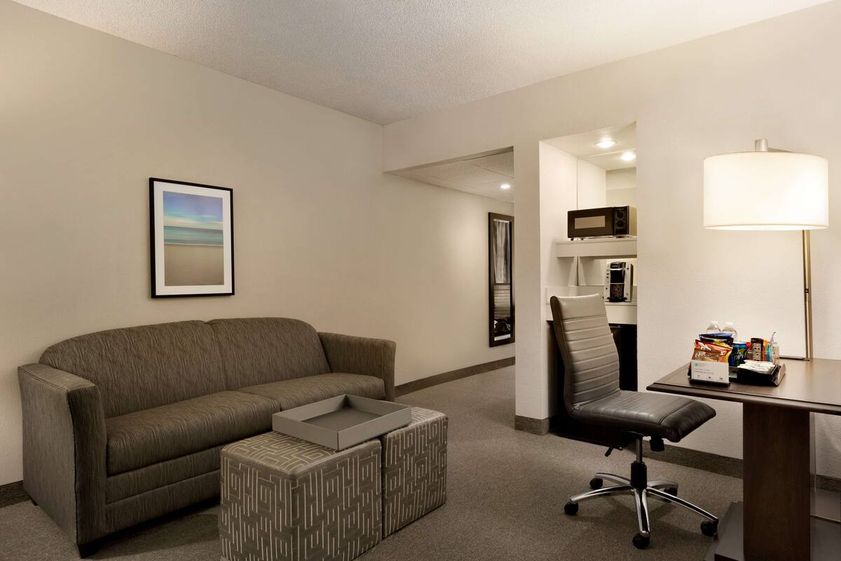 A hotel room with a sofa, a desk, a chair, a lamp, and a microwave.