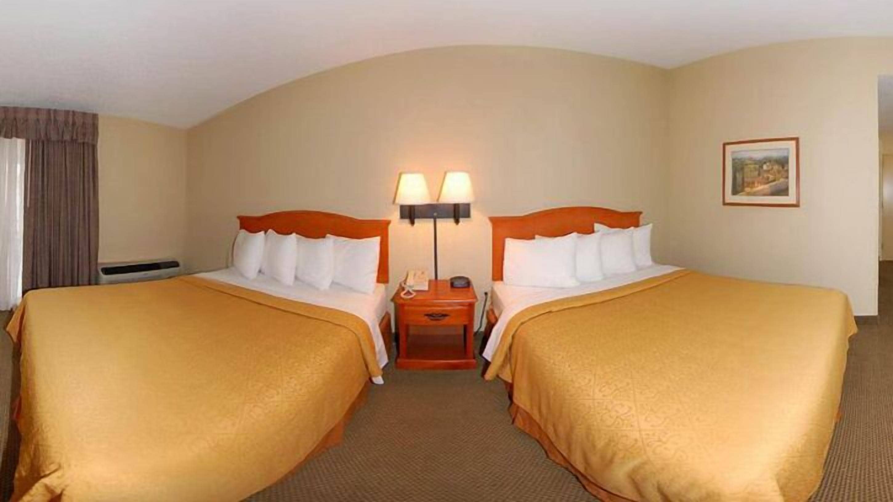 Een hotelkamer met twee bedden, een nachtkastje met een lamp en een schilderij aan de muur.