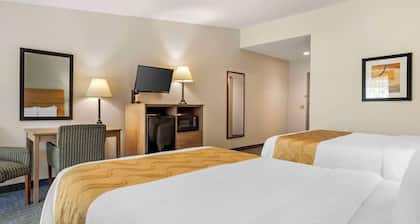 Quality Inn & Suites NRG Park - Medical Center