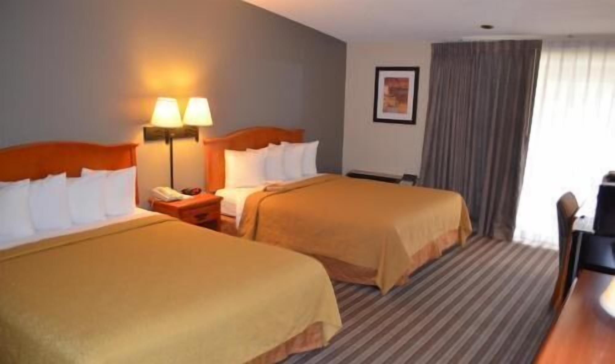 Hypo-allergenic bedding, in-room safe, individually decorated