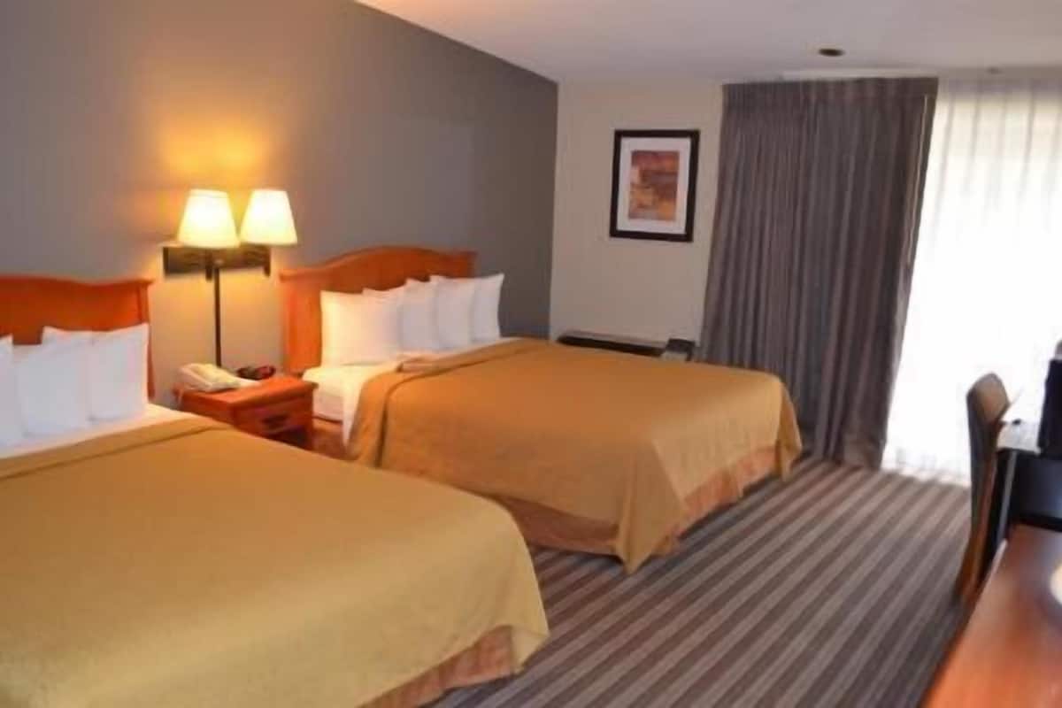 Hypo-allergenic bedding, in-room safe, individually decorated