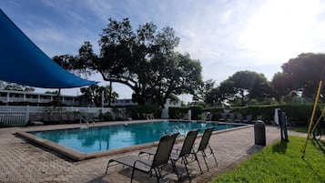 Outdoor pool, sun loungers