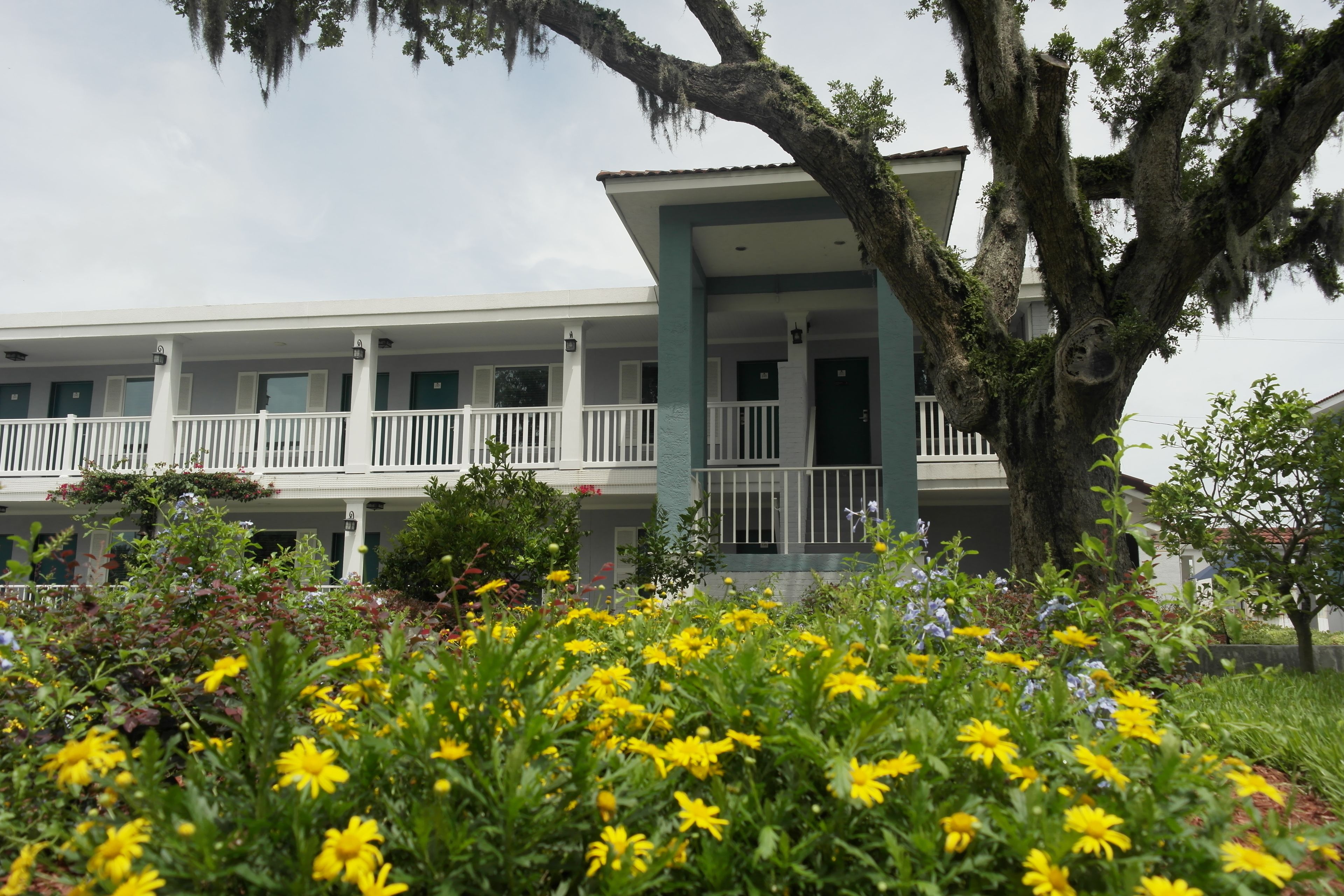 Photo - Quality Inn St Augustine Historic District Area