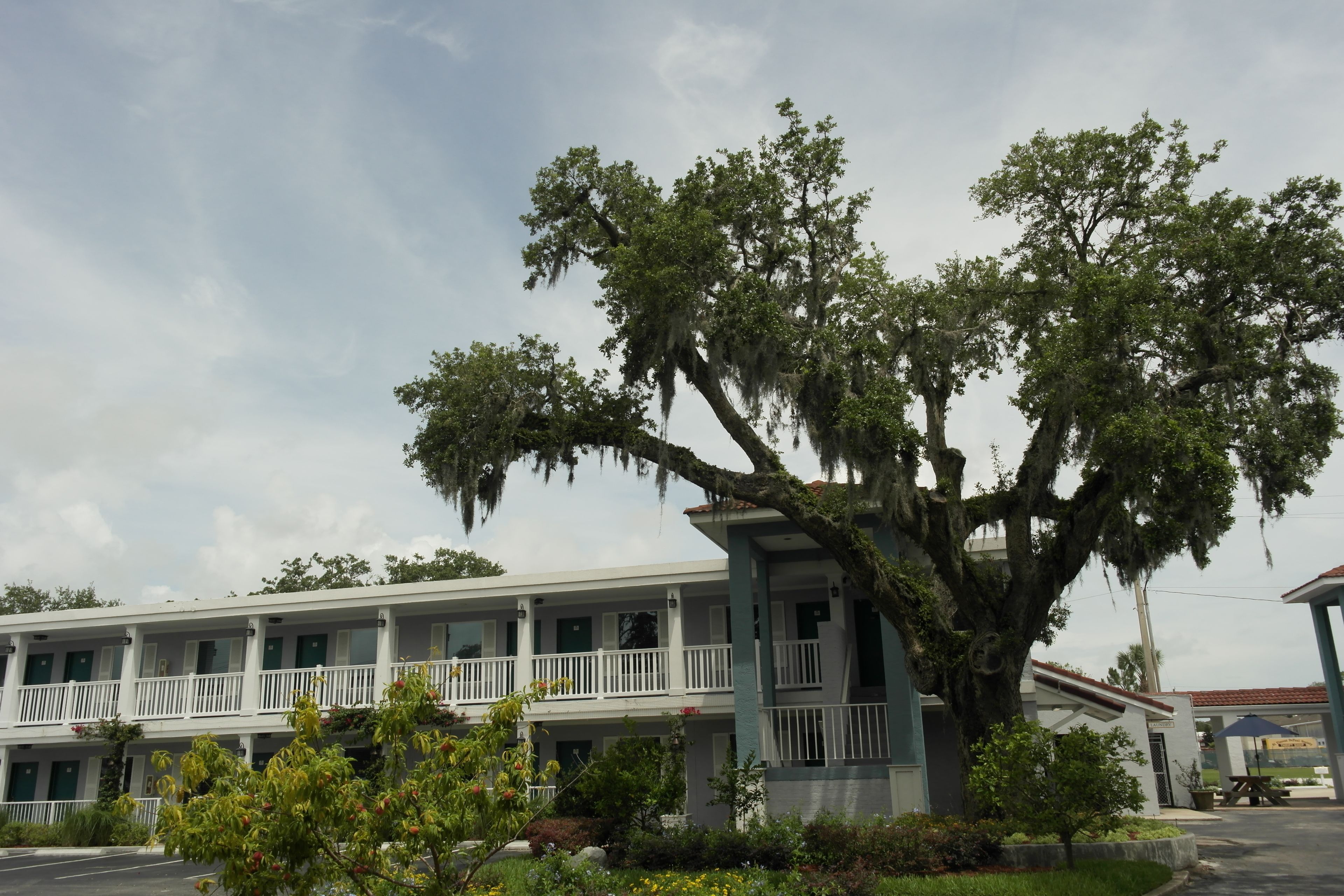 Photo - Quality Inn St Augustine Historic District Area