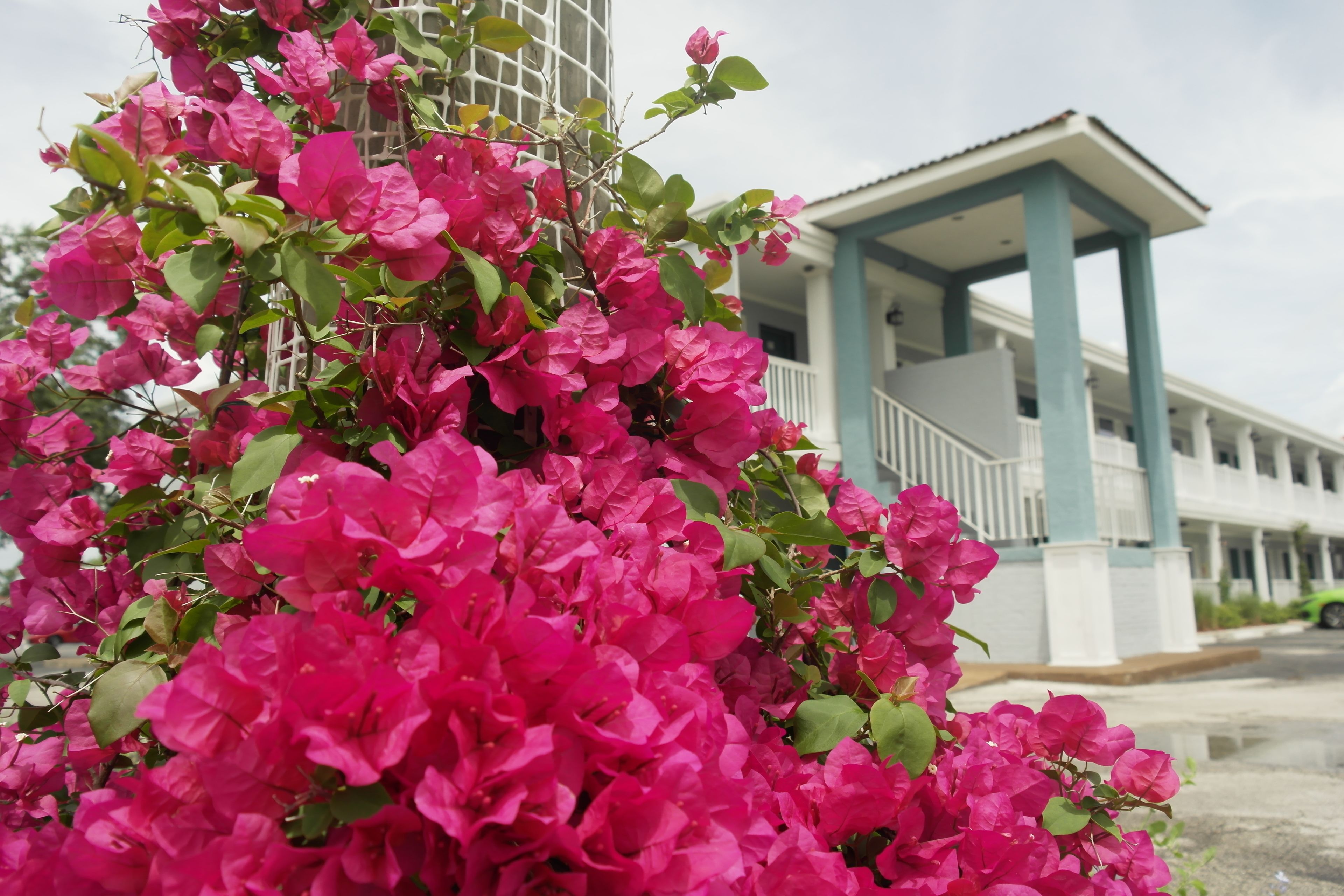 Foto - Quality Inn St Augustine Historic District Area