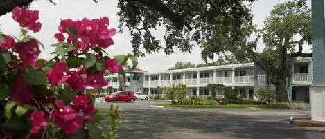 A motel with a row of rooms, a parking lot, and a large tree with pink flowers in the foreground.