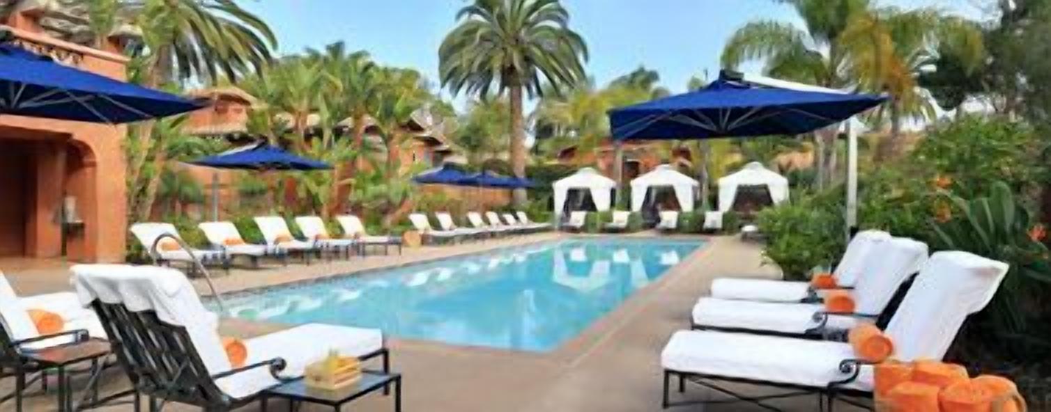 A pool area with lounge chairs and umbrellas, surrounded by palm trees and a clear sky.