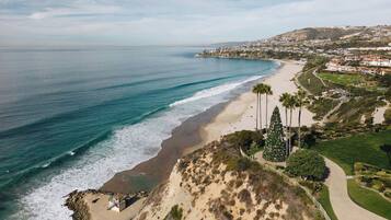 A coastal landscape with a beach, a large Christmas tree, and a residential area in the background.