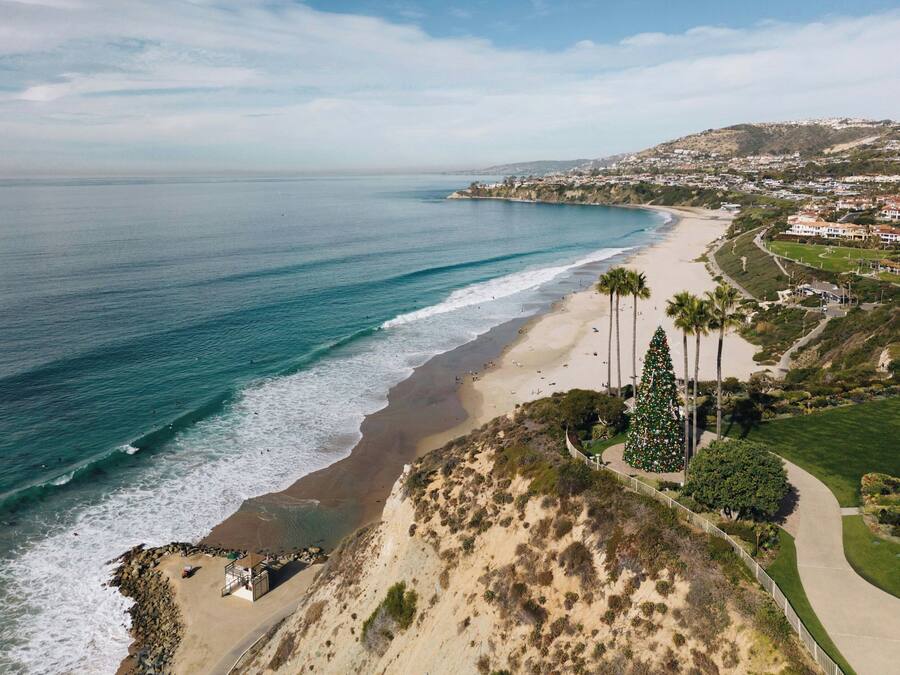 A coastal landscape with a beach, a large Christmas tree, and a residential area in the background.