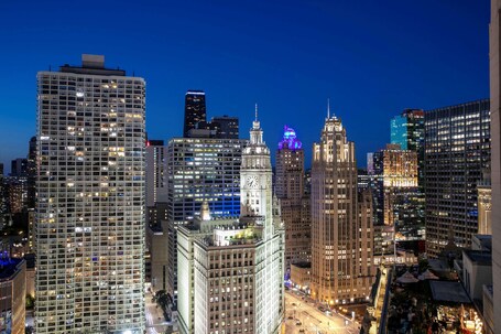 The Royal Sonesta Chicago Downtown - Image 96