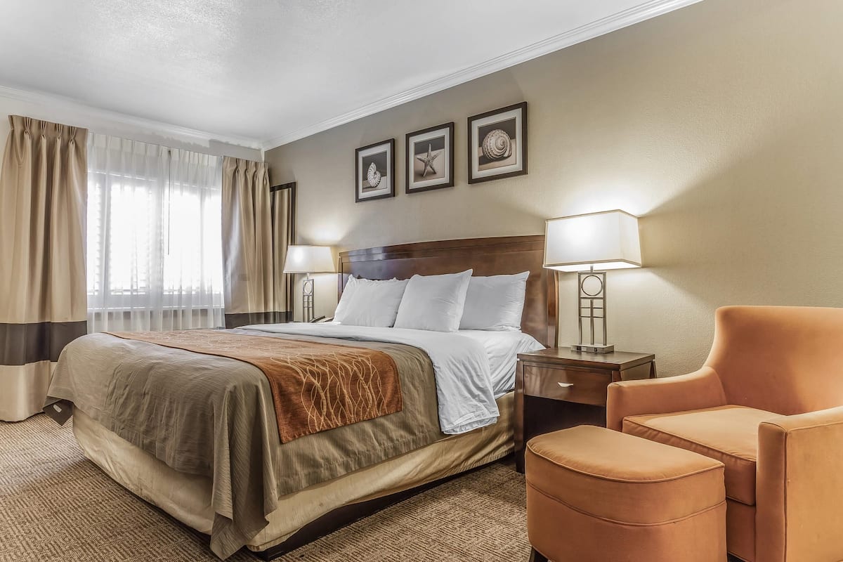 Quarto, 1 cama King, para não fumantes, banheira de imersão | Escrivaninha, ferros/tábuas de passar roupa, berços grátis