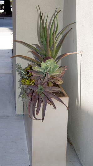 A planter box with various succulents and plants.