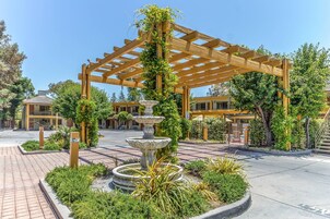 Una pérgola de madera con plantas trepadoras, una fuente central y un camino pavimentado que conduce a la entrada de un edificio.