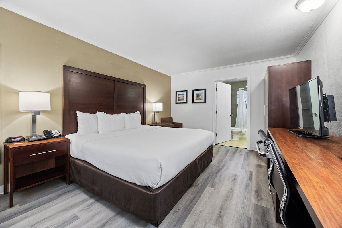 Standard Room, 1 King Bed, Non Smoking | Desk, iron/ironing board, free cribs/infant beds, rollaway beds