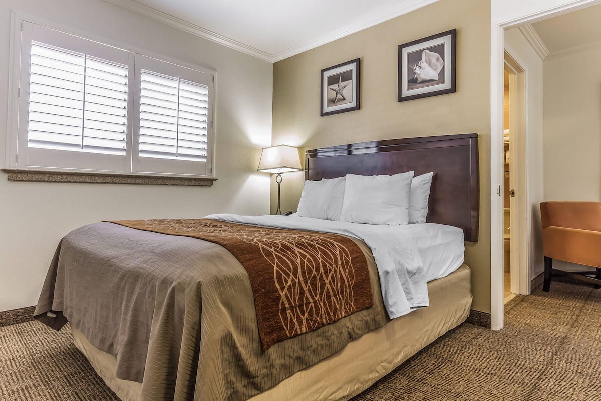 Habitación, 1 cama Queen size, para no fumadores | Escritorio, tabla de planchar con plancha y cunas gratuitas