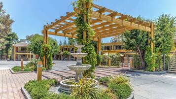 Outdoor pool, open 10:00 AM to 9:00 PM, pool umbrellas, sun loungers