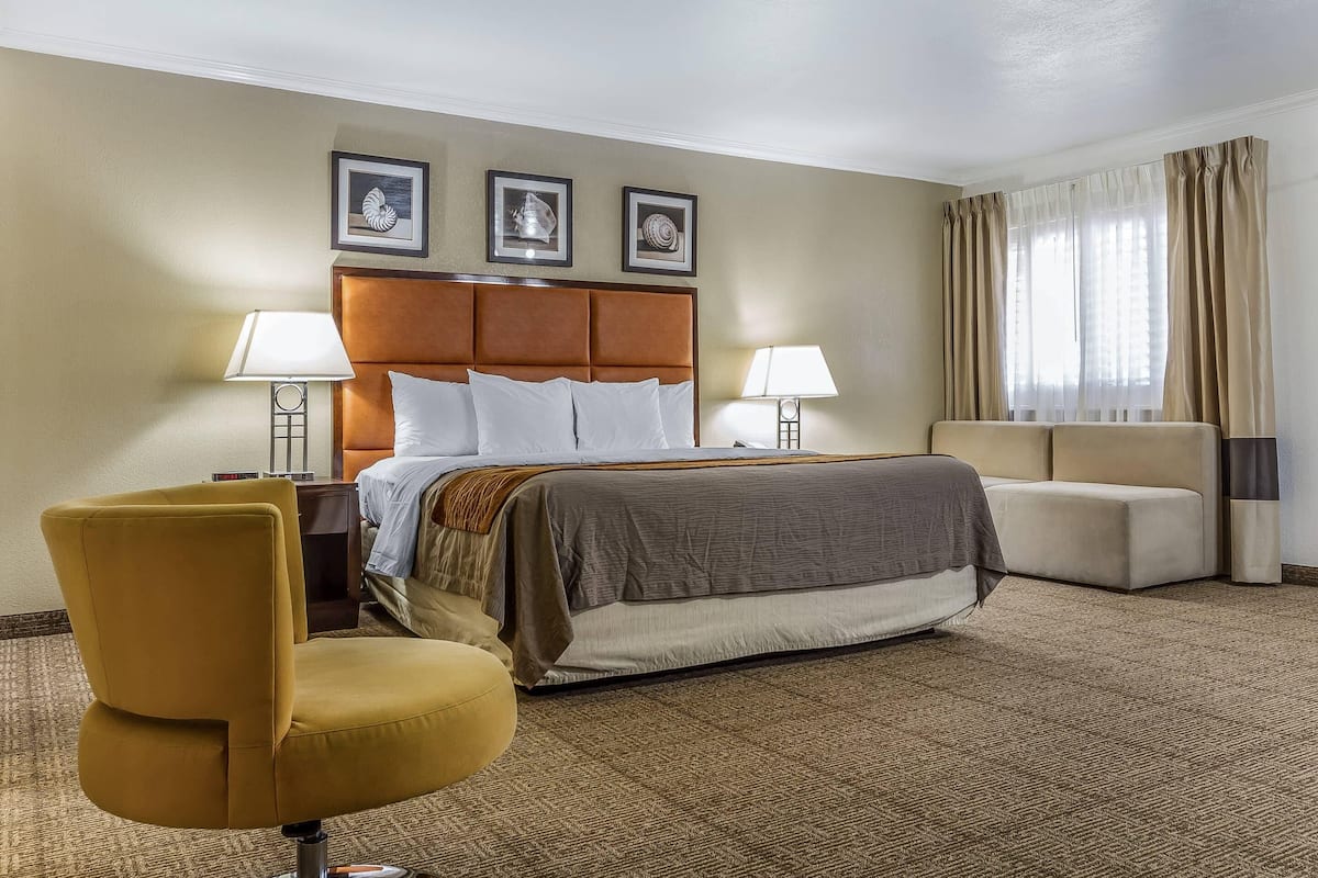 Suite, 1 cama King size, para no fumadores | Escritorio, tabla de planchar con plancha y cunas gratuitas