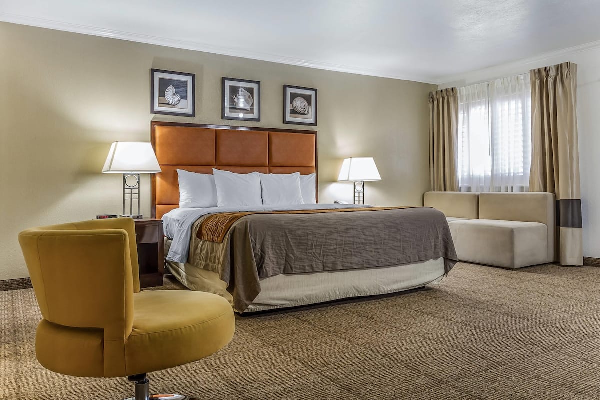 Suíte, 1 cama King, para não fumantes | Escrivaninha, ferros/tábuas de passar roupa, berços grátis