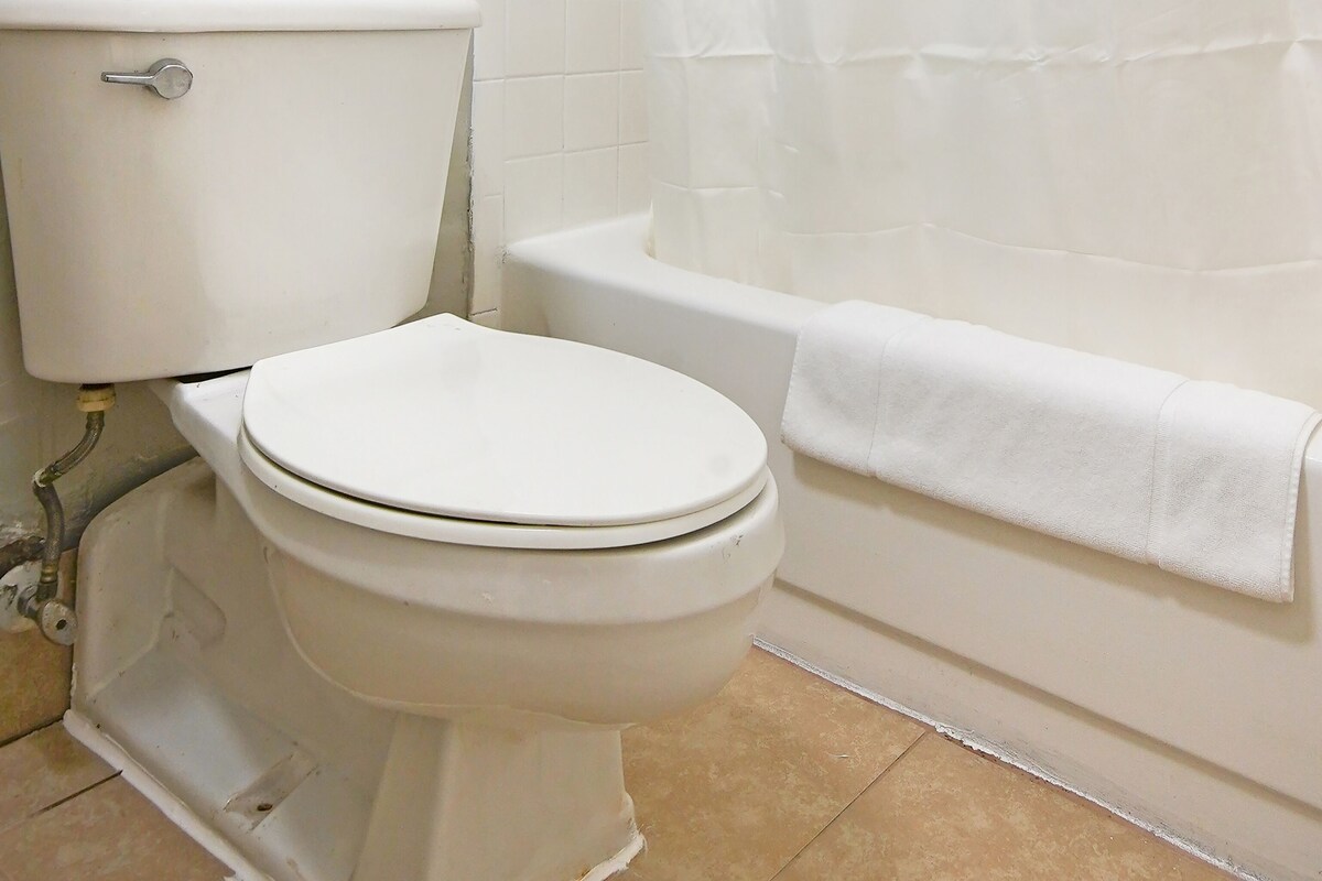 A bathroom with a toilet, a bathtub, and a shower curtain.