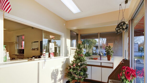 A hotel reception area with a Christmas tree, a small potted plant, and an American flag.