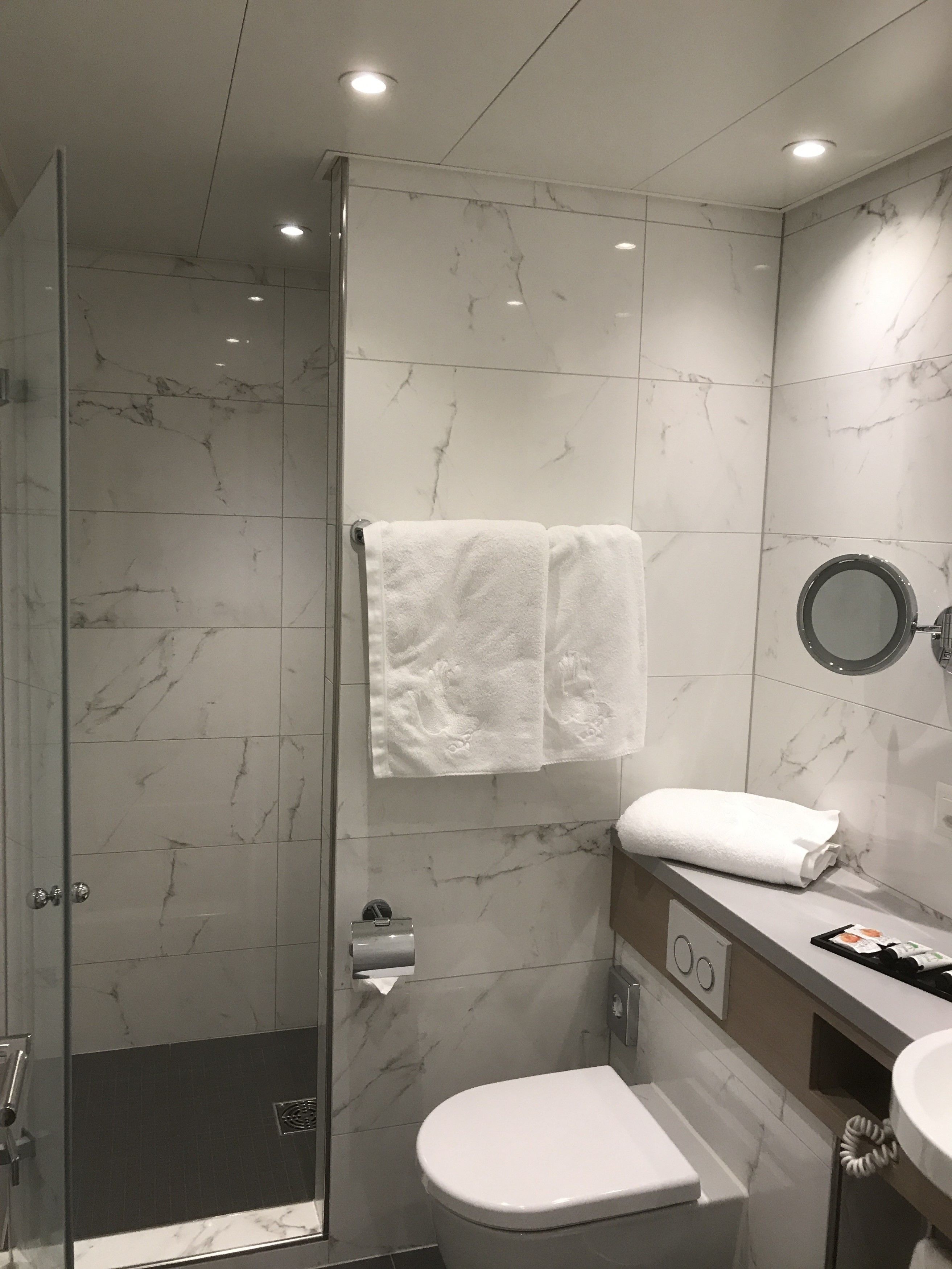 A modern bathroom with a glass shower enclosure, a toilet, a sink, and a mirror.