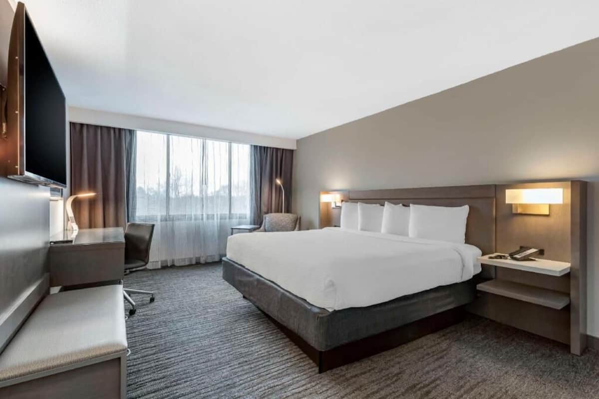 Premium bedding, in-room safe, individually furnished, desk