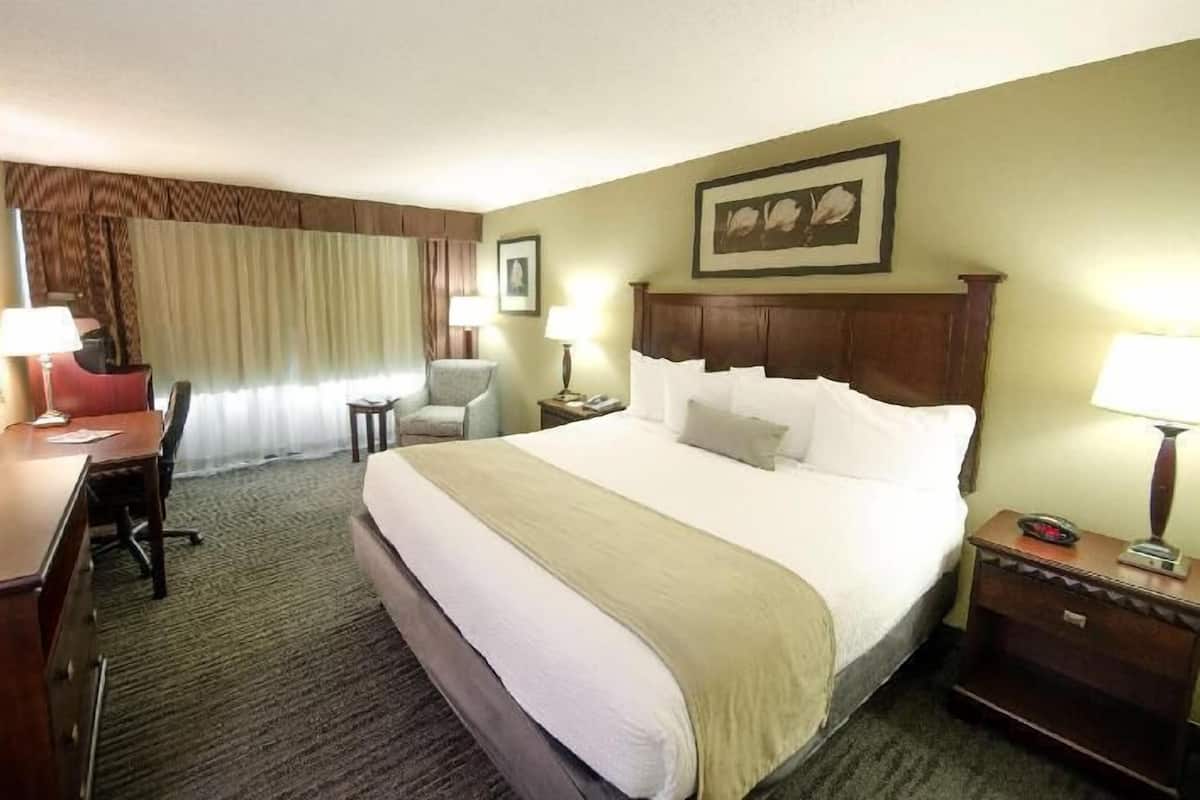 Premium bedding, in-room safe, individually furnished, desk