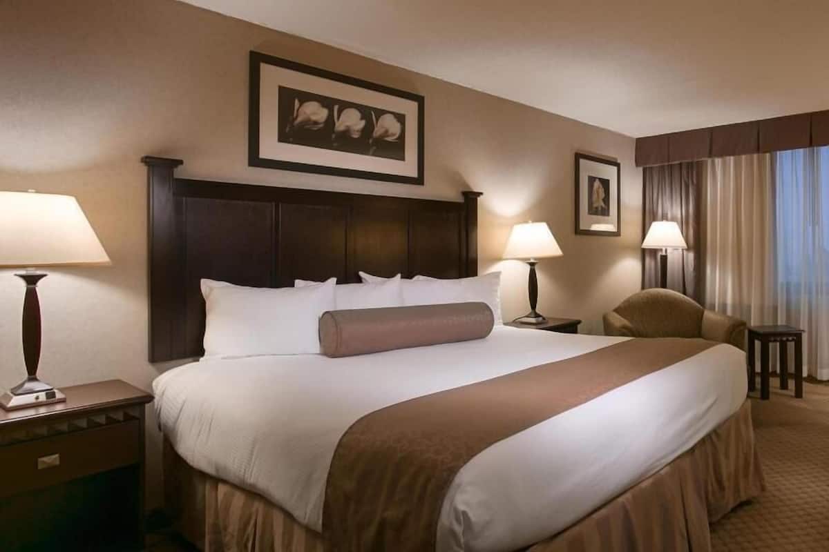 Premium bedding, in-room safe, individually furnished, desk