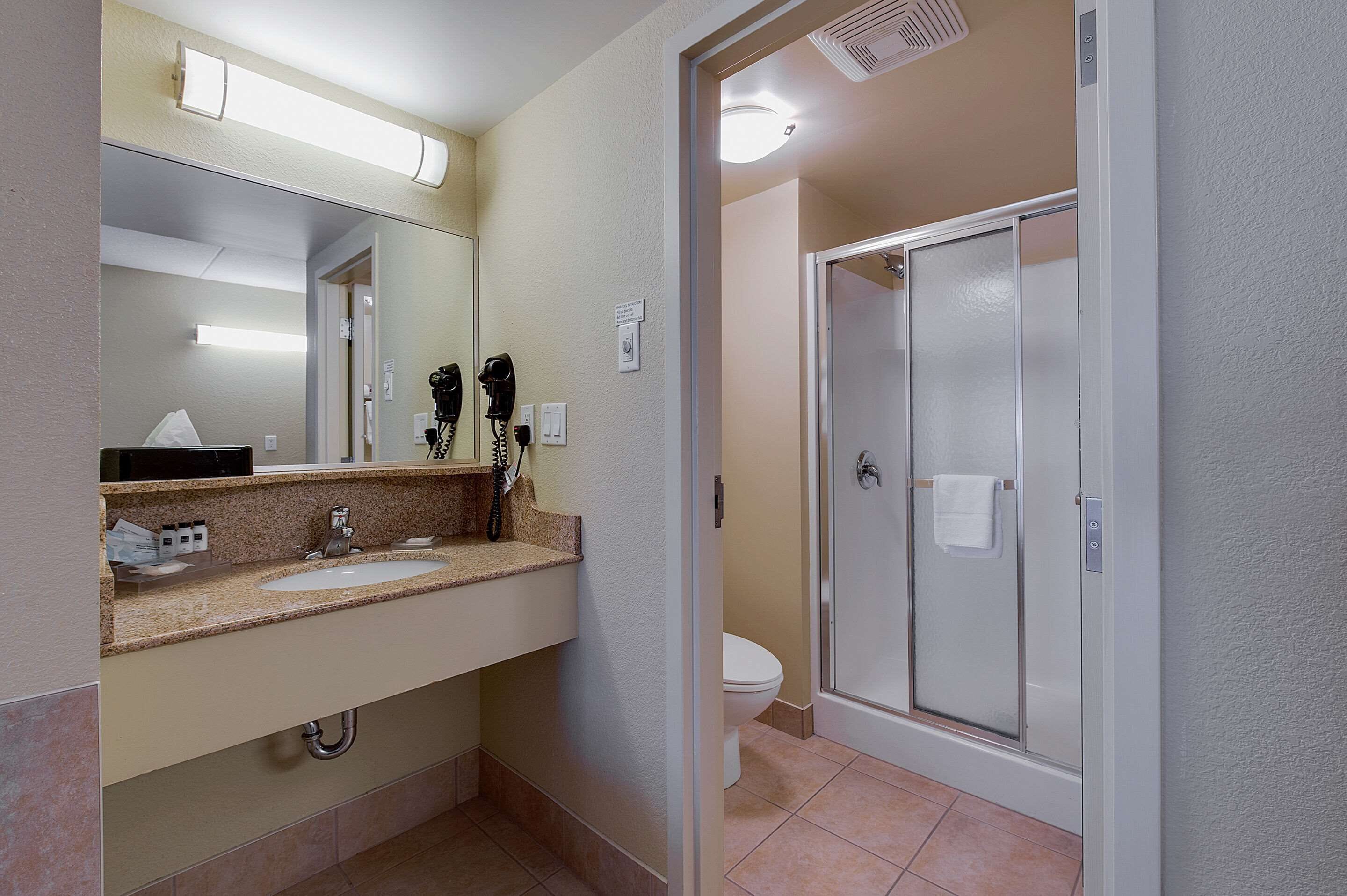 suite, 1 king bed, non smoking, jetted tub | bathroom | combined shower/bathtub, eco-friendly toiletries, hair dryer, towels