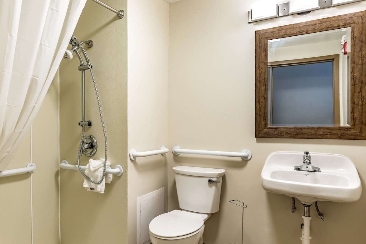 Room, 1 King Bed, Accessible, Non Smoking (Roll-In Shower) | Bathroom | Combined shower/bathtub, free toiletries, hair dryer, towels