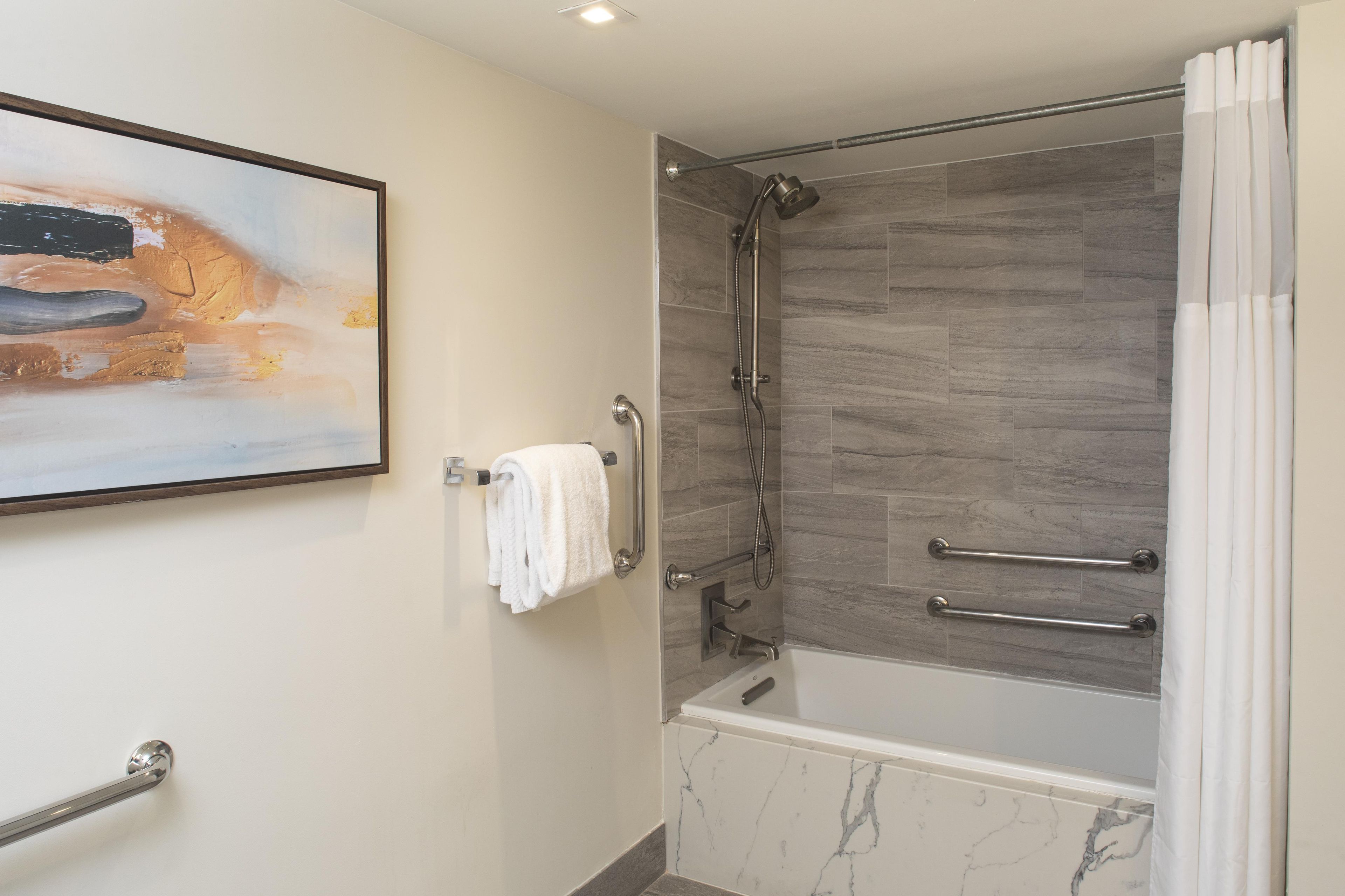 A bathroom with a shower, grab bars, a towel rack, and a painting on the wall.