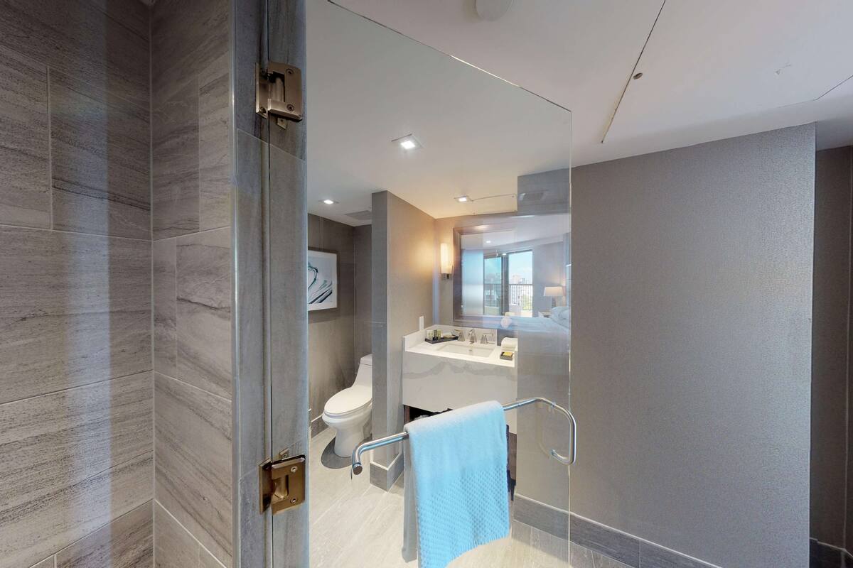 family suite | bathroom shower