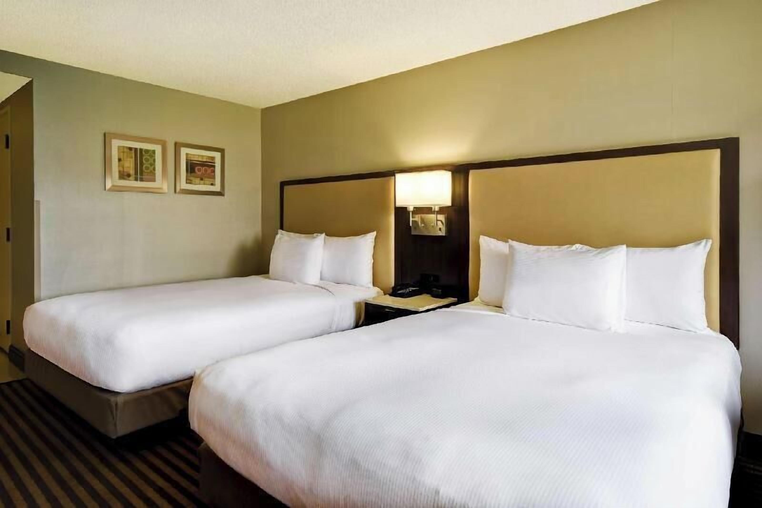 Premium bedding, pillow-top beds, in-room safe, desk