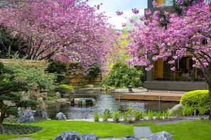 Jardin japonais