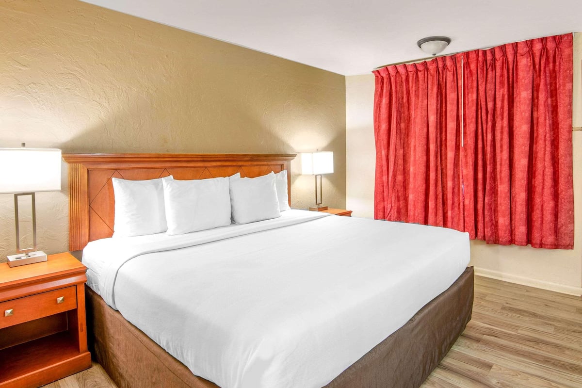 A hotel room with a wooden headboard, white bedding, a nightstand with a lamp, and a red curtain.