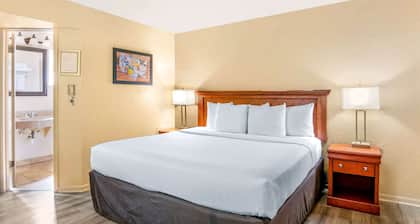 Econo Lodge Inn & Suites Durango