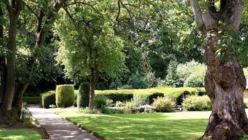 A garden pathway lined with trees and neatly trimmed hedges.