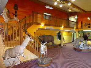 Staircase - King's Inn (Cody)