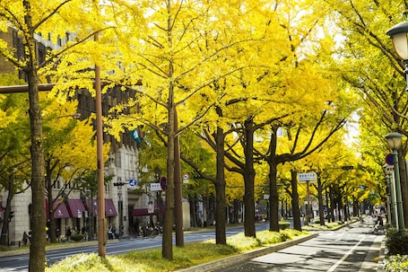 Exterior. Hotel Nikko Osaka