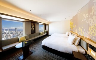 客房内保险箱、遮光窗帘、熨斗/熨板、免费 WiFi