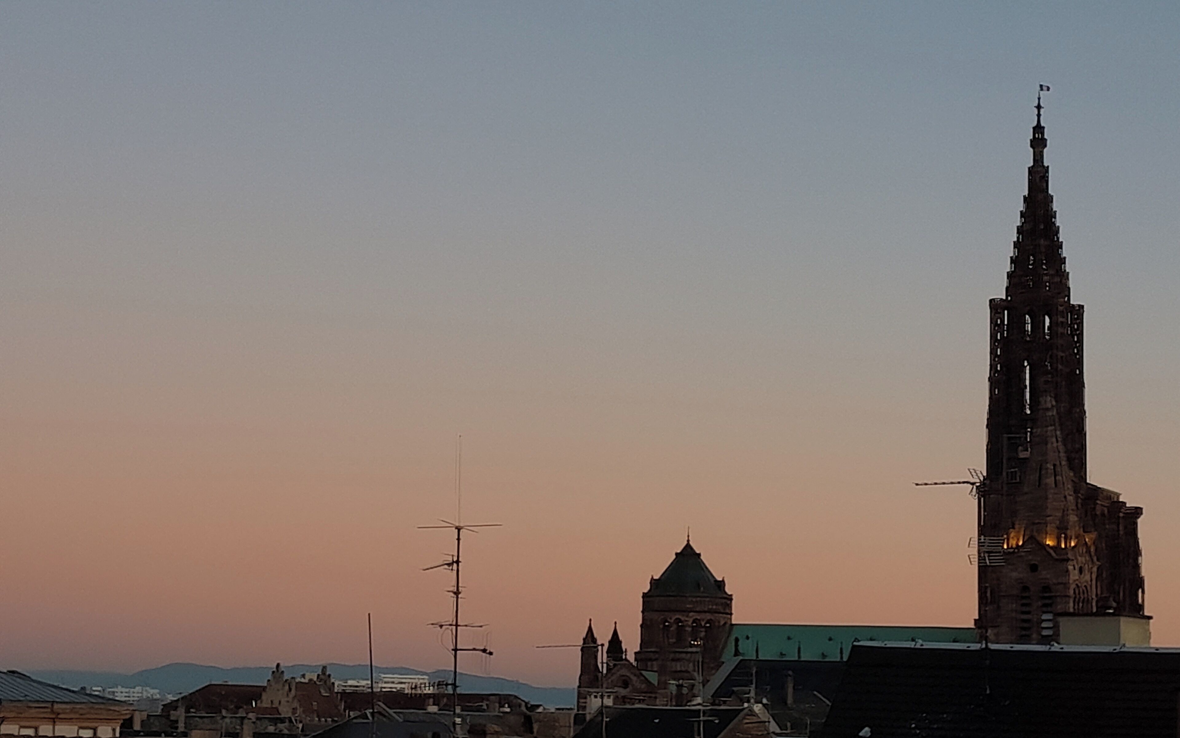 Une vue urbaine avec un clocher d’église imposant et un bâtiment plus petit doté d’un toit végétalisé.