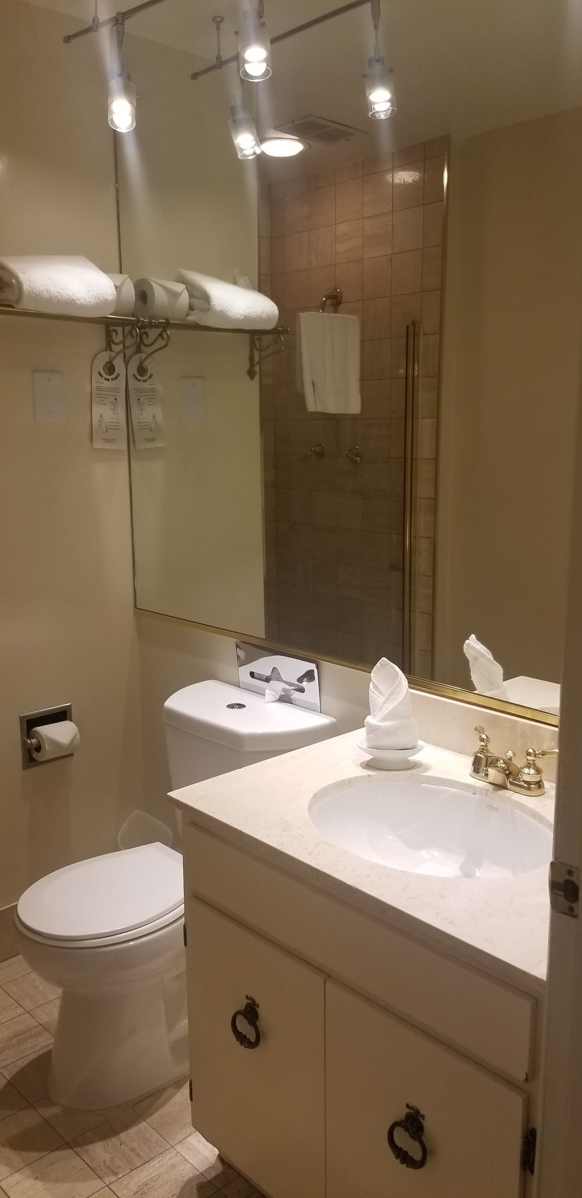 shower, free toiletries, hair dryer, slippers