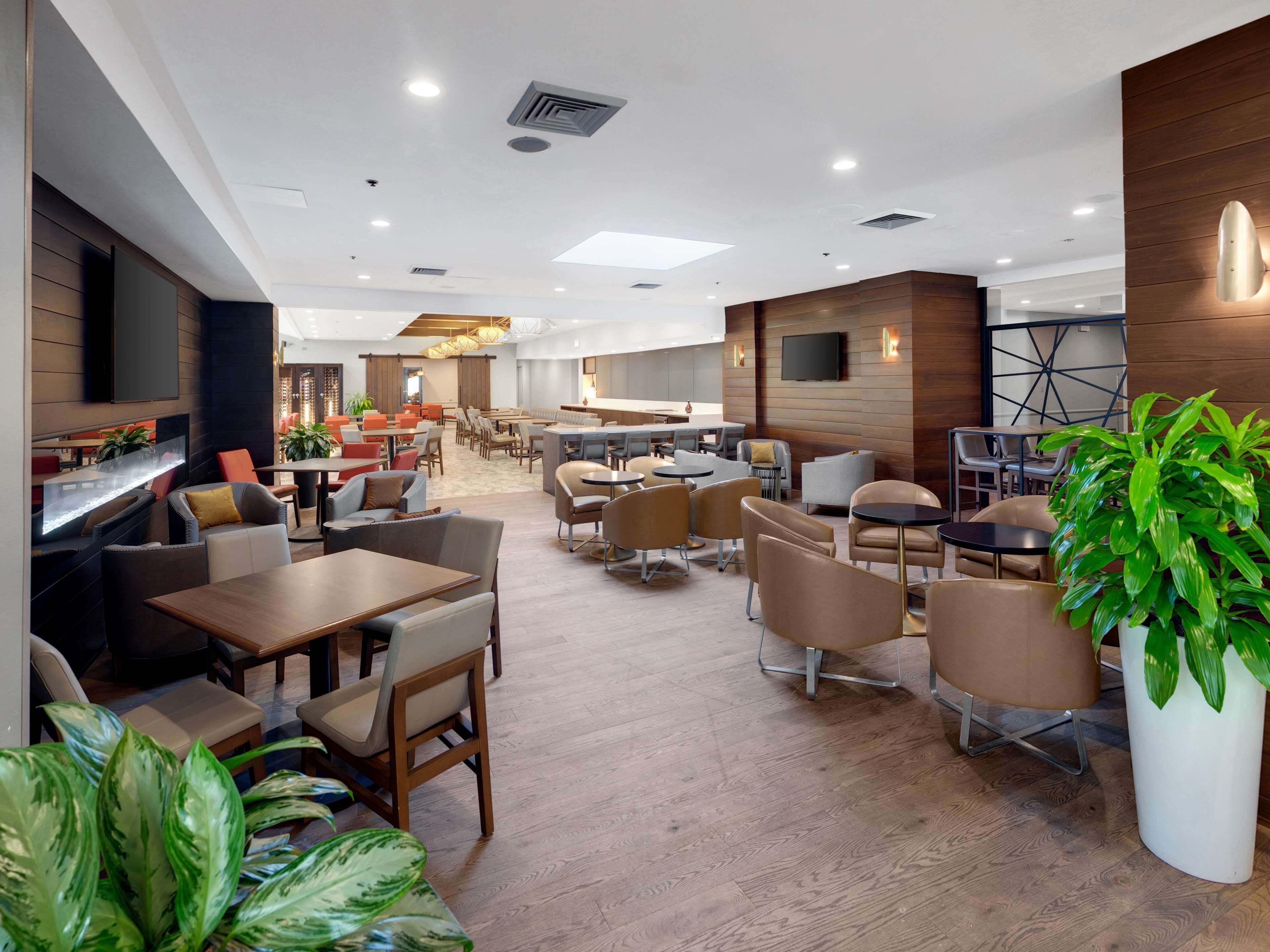 A modern indoor space with multiple seating areas, including tables and chairs, and a large potted plant.