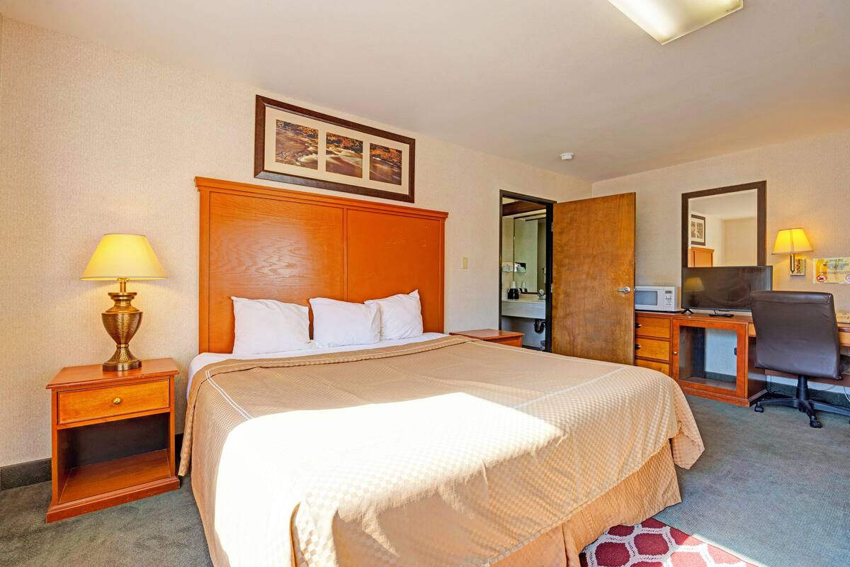 A hotel room with a large bed, a desk, a chair, a microwave, and a television.