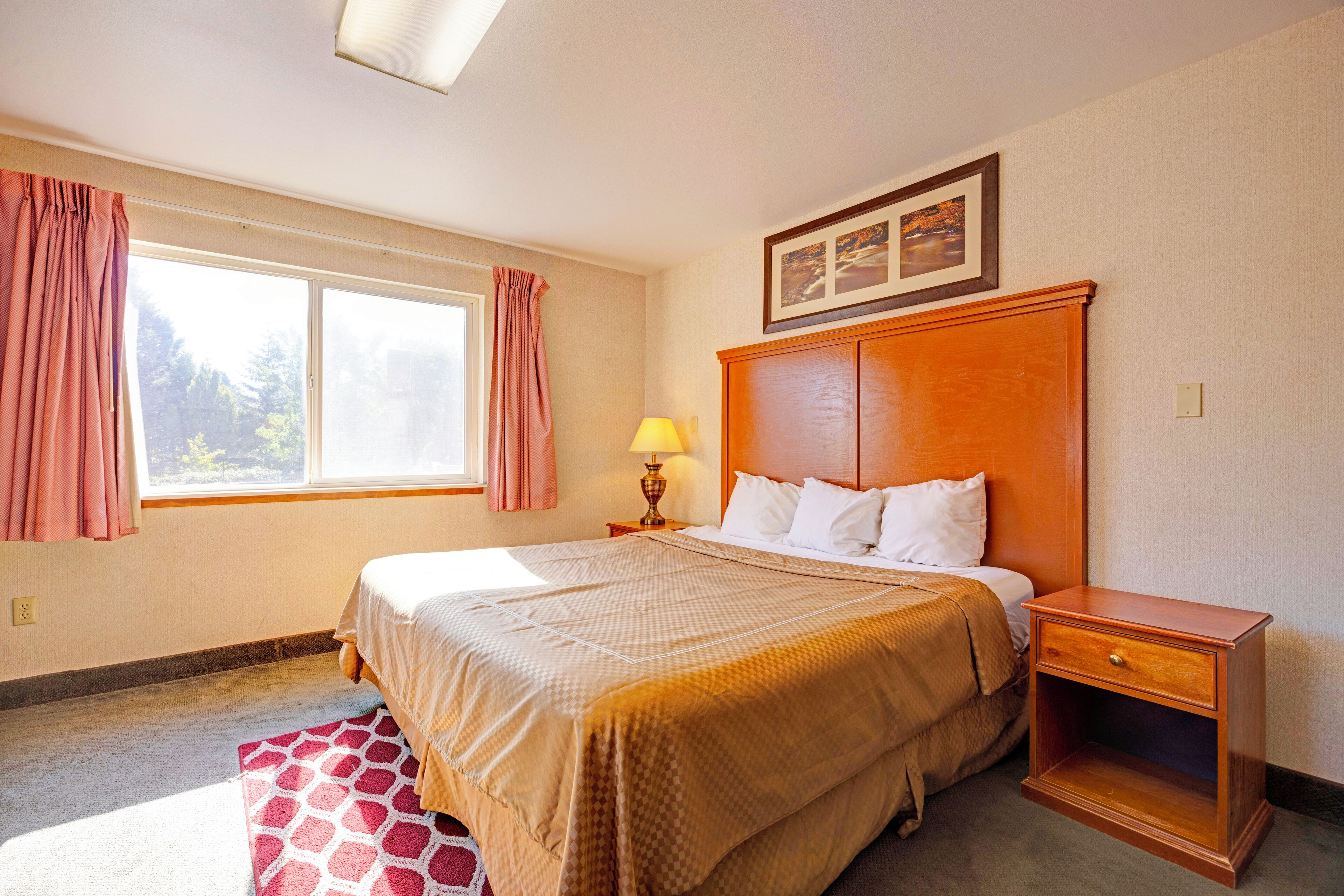 Kamer | Een bureau, een strijkplank/strijkijzer, gratis wifi, beddengoed