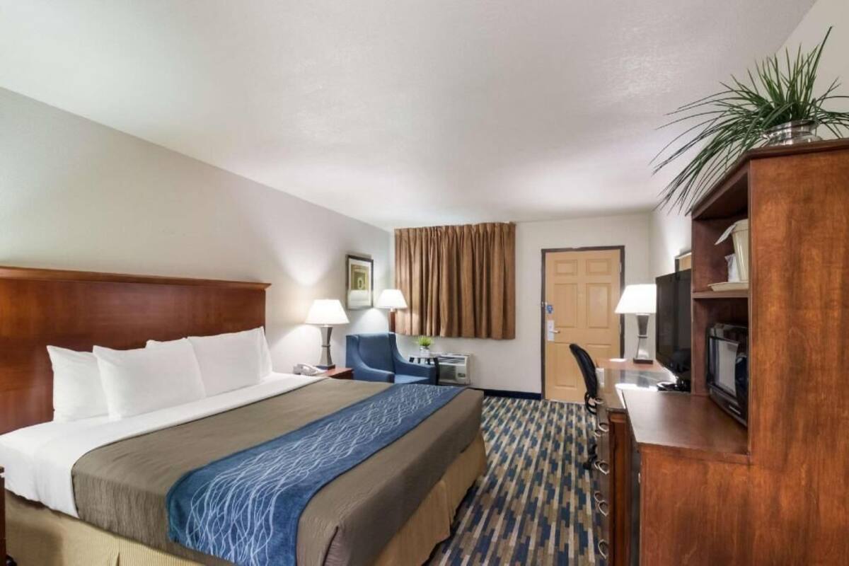 A hotel room with a bed, desk, chair, television, and a plant.