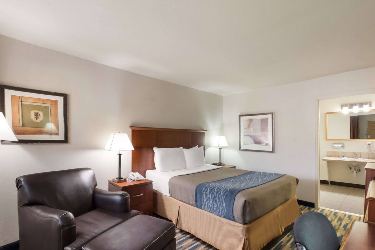 A hotel room with a bed, a desk, a chair, a lamp, a mirror, and a framed picture on the wall.