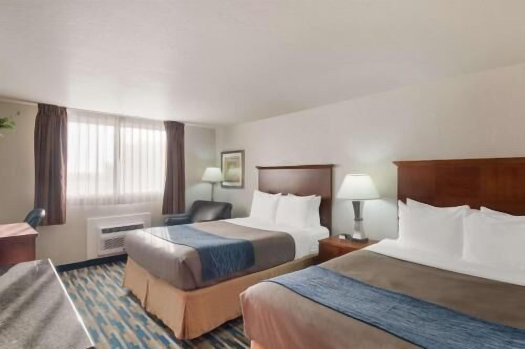 办公桌、熨斗/熨衣板、免费婴儿床、免费折叠床/加床