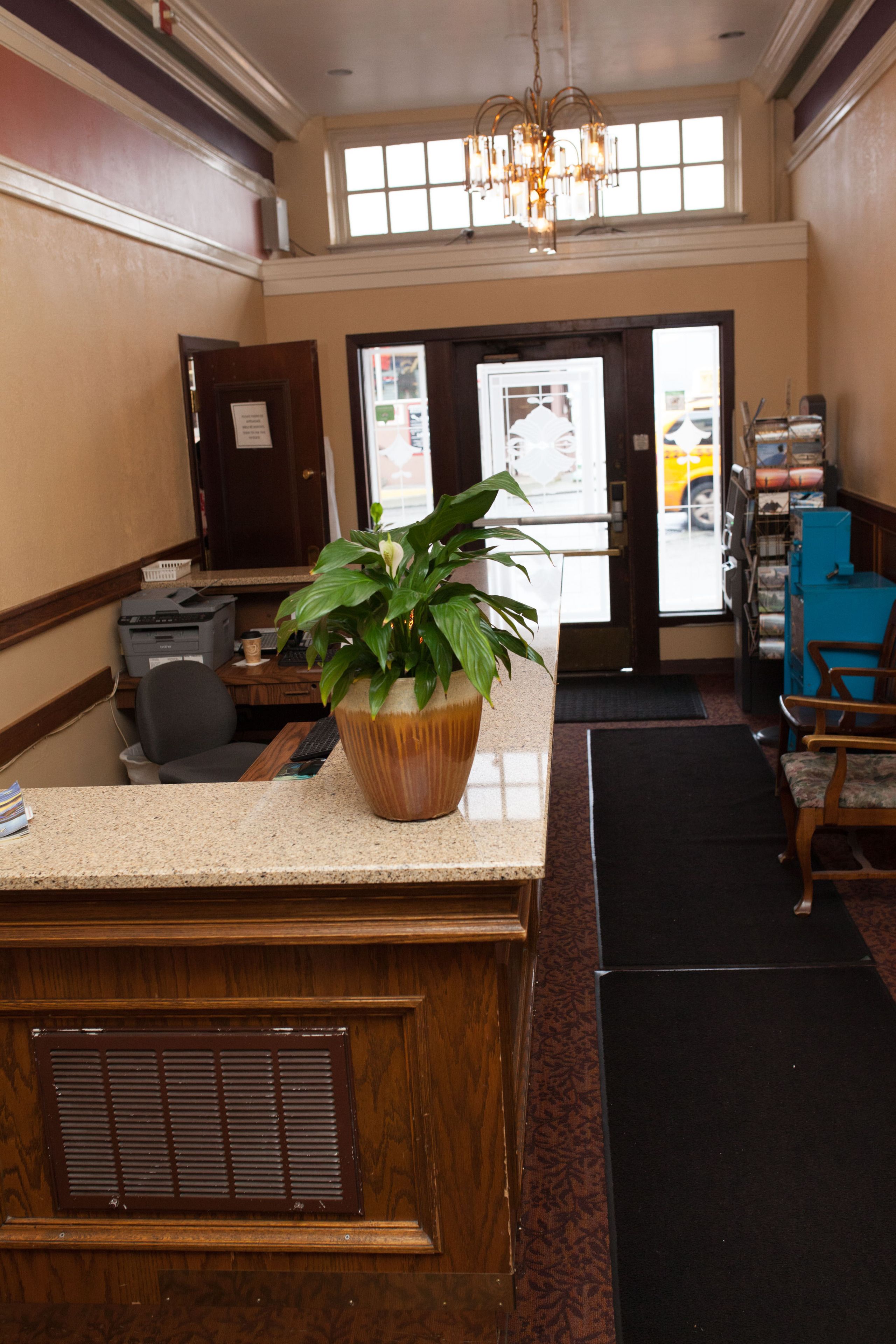A reception area with a wooden desk, a potted plant, a printer, and a blue chair.