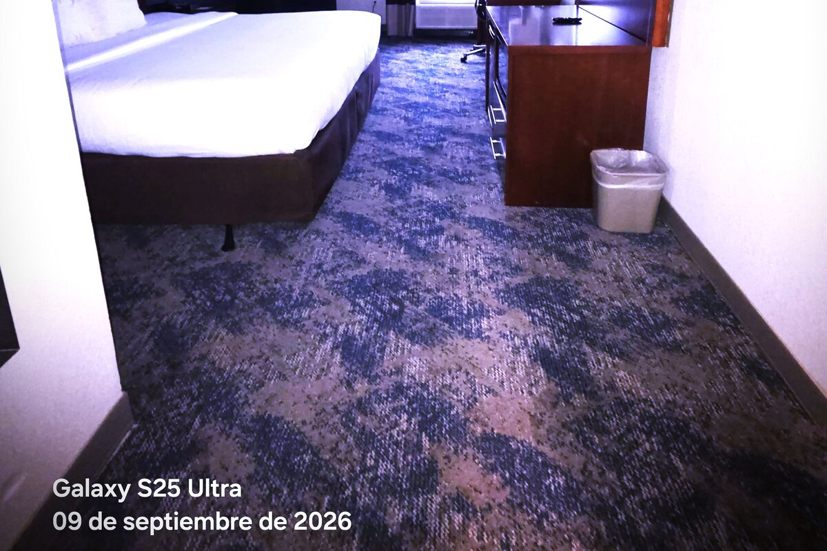 Quarto standard, 1 cama King, para não fumantes | Roupas de cama antialérgicas, escrivaninha